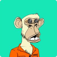 RogueKnight243 (@rknight243) 's Twitter Profile Photo RogueKnight243 (@rknight243) 's Twitter Profile Photo