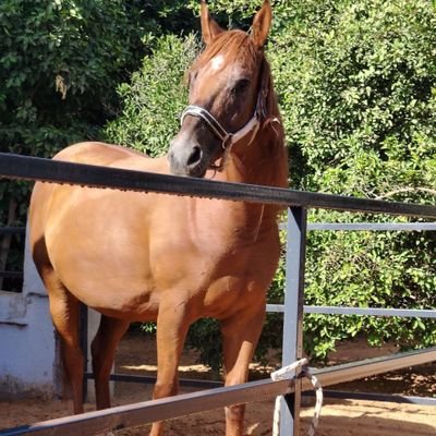 elhaloug84720's profile picture. بسم الله الرحمن الرحيم