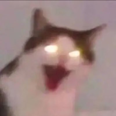 wVtXM6D14321902's profile picture. 180/56 男 喜欢furry 可爱的男孩子 袜之类的 私欢迎聊🔥