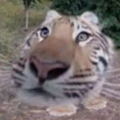 LABHINATOR's profile picture. HARRASING BRAIN UNTIL IT PAYS MY BILLS. 

INDOLENT PROFANER, RIGHT W

JAI SHREE RAM