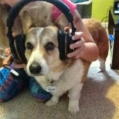 TravelingNomad9's profile picture. 