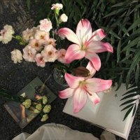 إطمئن🩷 (@_qurannn_) 's Twitter Profile