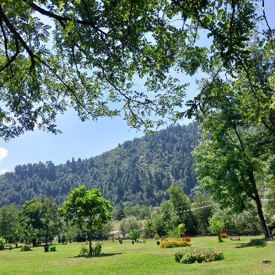 Content creator| Social Affairs| Open to work🌿
Let's connect and share happiness!