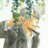 pawl_spitting's profile image