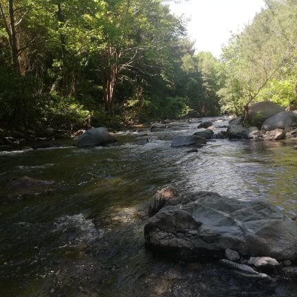 MUSLM75904763's profile picture. Hadsizlere haddini bildirmek,
Zalimin zulmüne dur demek, 
Kibirli cahile ders vermek...
Mütevazi mümine de kardeş, can olamak
 Şiarımız olsun.