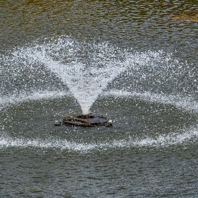 pondaerators1's profile picture. 