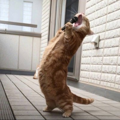 share__ai's profile picture. Nope