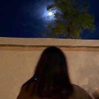 S (@sxervd) 's Twitter Profile