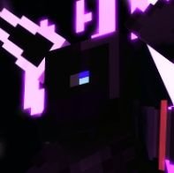 AlonGrayさんのプロフィール画像