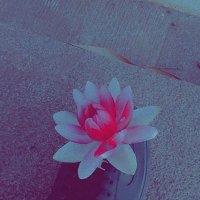 Espher (@itsespher) 's Twitter Profile