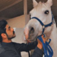 طـلال B-52 (@talal5158m) 's Twitter Profile