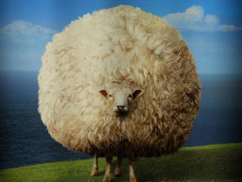 WoolNWares's profile picture. Bubble-Bubble, Toil and Trouble...see what comes out of my dye pots! Fiber Artist, CAT mom,😎Proud Calif.toMass.Dem, BElieves in Democracy.#TruthMatters #Resist