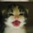kakario12's profile image
