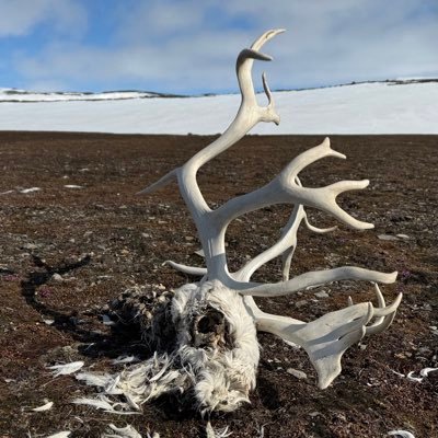 CashOnlyBand's profile picture. 