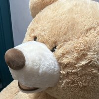 m (@mochicom) 's Twitter Profile