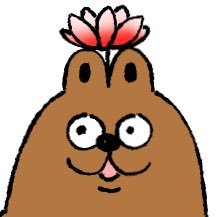 バラコさんのプロフィール画像
