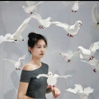 莎莎🍀(互关) (@peteroju) 's Twitter Profile