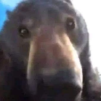 Max29104's profile picture. 