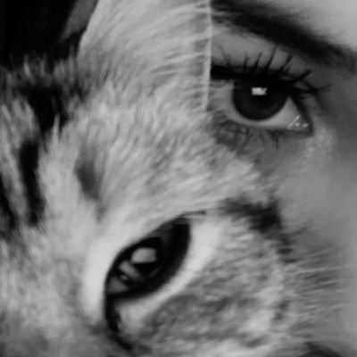 susunungunlugu's profile picture. 