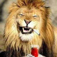 IsKa (@kartalsoulfly) 's Twitter Profile Photo
