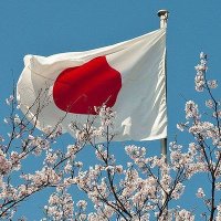 osato (@osato979108796) 's Twitter Profile