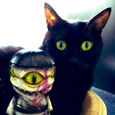 miyabi.さんのプロフィール画像