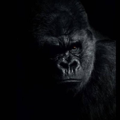 Janetexcahnger's profile picture. Janet — Web3 Analyst | Arbitrage Enthusiast