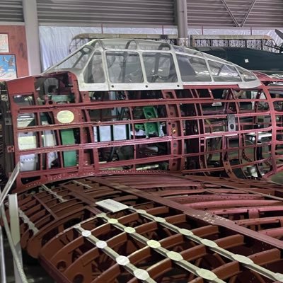 zPTwVhnlk319995's profile picture. 