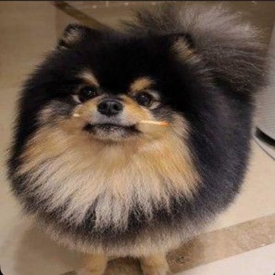 Yeontan Thailand Fanclub ੯‧̀͡⬮\ ੯‧̀͡u\ ੯‧̀͡⬮\ ੯‧̀͡u\ ● แฟนนัมจุน ● เล่นกิจ/สุ่มของรางวัล click Hightlight Tab รีวิว #คุณถังขนฟู