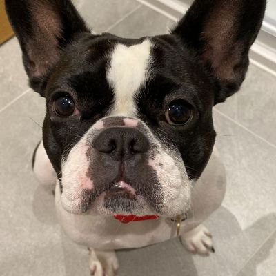andyrids_'s profile picture. 