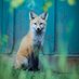 Erwin_Fuchs (@erwin_fuchs41) Twitter profile photo Erwin_Fuchs (@erwin_fuchs41) Twitter profile photo