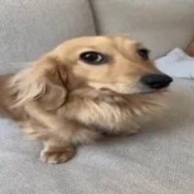 ttanchyk's profile picture. ну ще трохи поневитримуй