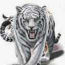 Cresent519764's profile picture. 