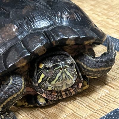 綾野かいとさんのプロフィール画像