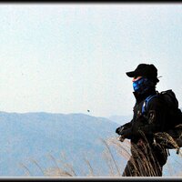 일편단심 (@ddoddo62) 's Twitter Profile