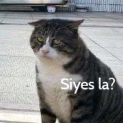 syasyasyayangg's profile picture. 