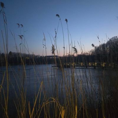 yvdrop's profile picture. somebody