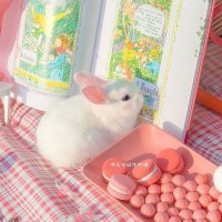 نور الحياه (@n__h_n_h_21) 's Twitter Profile