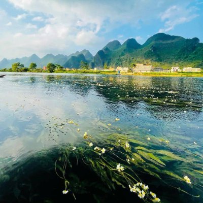 waltz960316's profile picture. I hear the mountain birds, the sound of rivers singing