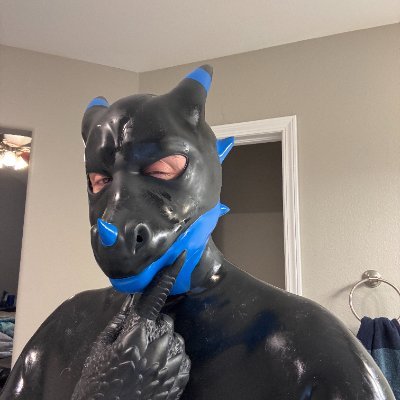 The After Bark (get it haha, nah ? Neither did I) account of @SeireinoSensh. 31y BI, husky