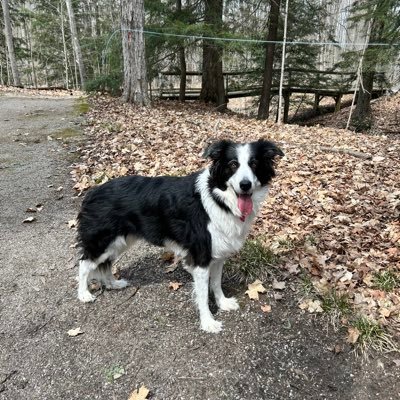 Canadian_mom81's profile picture. 