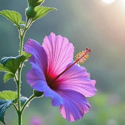 “तुम्हारी सारी परेशानियाँ उस दिन ख़त्म हो जाएँगी, जिस दिन तुम्हें ये विश्वास हो जाएगा, कि हर काम ईश्वर की मर्जी से होता है”
जय श्री राम🙏