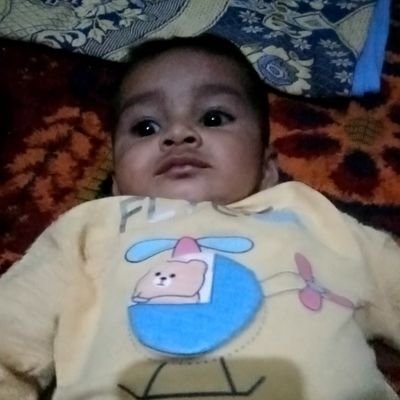 mayogee743's profile picture. Online Teacher