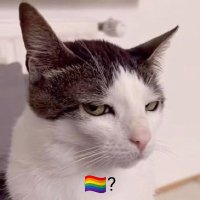 Sundaze🌈 (@sundazeqg) 's Twitter Profile