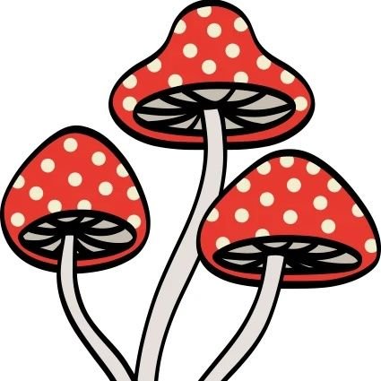 @Reformuk is the only party that represents the people. Proud Brit and Mushroom farmer. Take a tour through my tele page via link below 👇