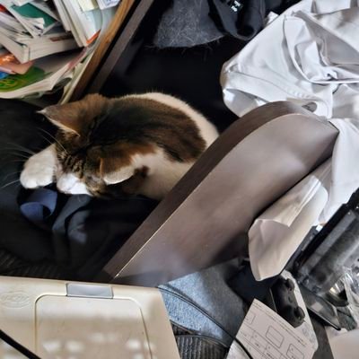 haru_098510's profile picture. ただ自分の自由に。
