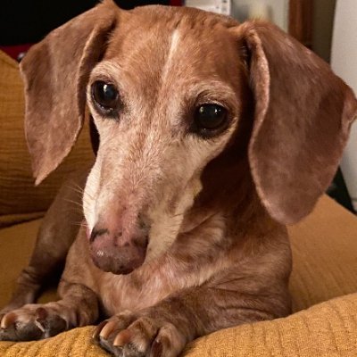 Mediator48182's profile picture. 🕯️☦️🕯️