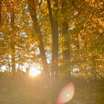 PfeiferBuilt's profile picture. Navigating a rewired future. Adventure / Off-road athlete. Sky is not the limit.