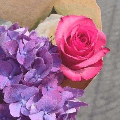 pure_ashol3's profile picture. 