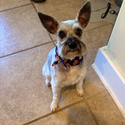 learntotrade19's profile picture. 